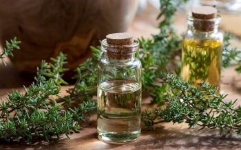 ۶ آنتی بیوتیک خانگی قوی خانگی