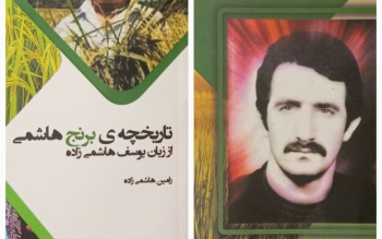 حالا «برنج هاشمی» را بخوانید!