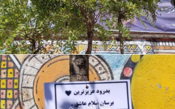 درختچه ارغوان جایگزین اقاقیا در مزار «سایه» شد/فیلم