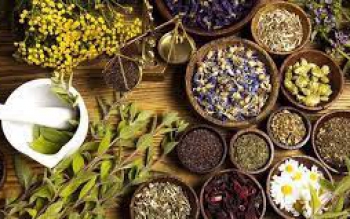 کدگذاری ۹۰۸ قلم داروی سنتی جهت نسخه نویسی الکترونیک/تسهیل استفاده از داروهای سنتی در طبابت