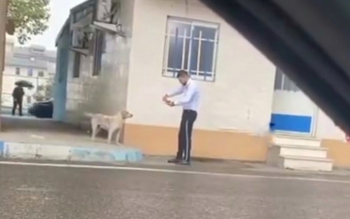 سربازی که به سگی بی پناه غذا می دهد