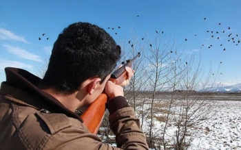 شکار در گیلان همچنان ممنوع است