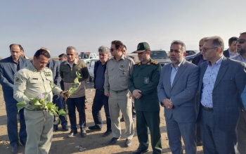  جمع آوری سنبل آبی، هیولای خوش خط و خال در دریای کاسپین رودسر