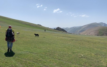 نجات معجزه آسای کوهنورد رشتی یک هفته بعد از سقوط به دره