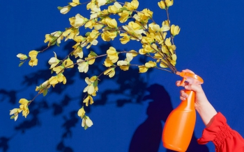 چرا عطرهای قوی حس بدی در ما به وجود می‌آورند؟