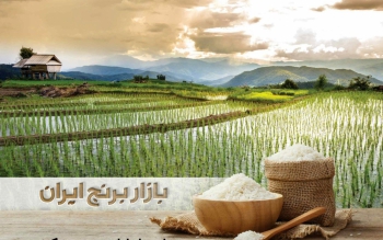  چرا کشاورزان برنج نمی فروشند؟