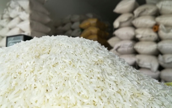 آغاز طرح شناسنامه  دار شدن برنج ایرانی به زودی