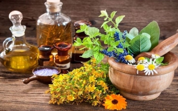 کاهش اضطراب با مصرف ۵ گیاه