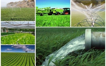 ۲۹۰ هزار روستایی صاحب شغل می شوند!