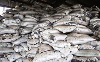 چای های سنواتی فقط در صنایع تبدیلی قابل استفاده است
