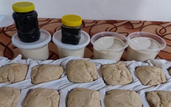 روستای کُلِسر صومعه سرا میزبان جشنواره «سیاه شکر» 