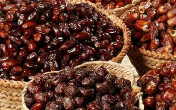 خرما گران نشده / جذابیت های صادراتی وجود ندارد