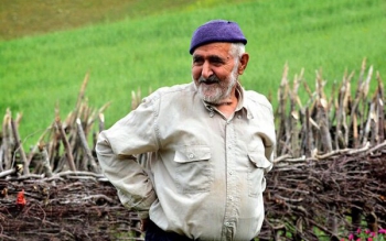 ۵۰۰۰ خانوار؛ مستمری بگیر صندوق بیمه اجتماعی روستاییان گیلان