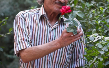محمدعلی شیرازی ترانهسرا درگذشت