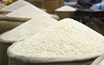 جریمه گرانفروشی برنج در رشت