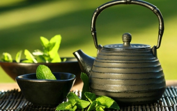  از پرهیز مصرف بادنجان تا توصیه به دمنوش های گیاهی برای روزهای آلوده