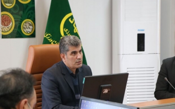 مشکل تأمین گوشت و مرغ در گیلان وجود ندارد