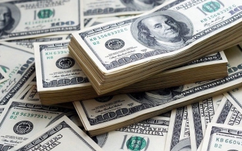 کاهش قیمت ارز در مرکز مبادله ارز/ جدیدترین قیمت دلار، یورو و درهم