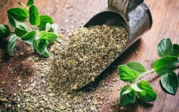 ساخت پانسمان آنتی باکتریال با عصاره گیاه آویشن 