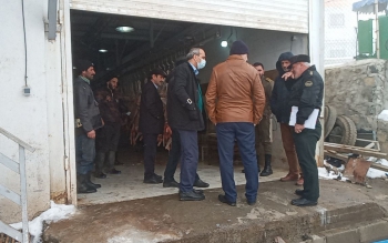  پلمپ یک کشتارگاه غیرمجاز دام در سیاهکل
