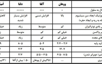  مقایسه جدیدترین جهش کرونا با سویه های قبلی/ آخرین اطلاعات از امیکرون XBB.۱.۵