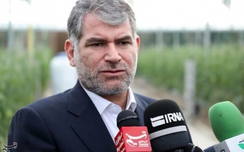 وزیر جهاد کشاورزی‌: ‌‌گوشت منجمد توزیعی در بازار، ایرانی است/ کاهش قیمت پیاز آغاز شد‌