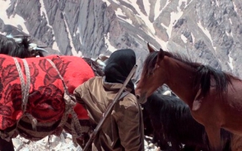 آخرین سندهای تصویری کوچنشینی در ایران در «چامون» رخ داد/ دختران و پسران عشایر در شرکتها مشغول کار شدهاند!