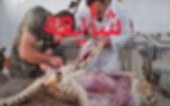 تصویر منتشر شده از پوست کنی یوز مربوط به کالبدشکافی «پیروز» نیست