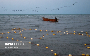 کاهش ۲۰ سانتیمتری تراز دریای کاسپین در هر سال