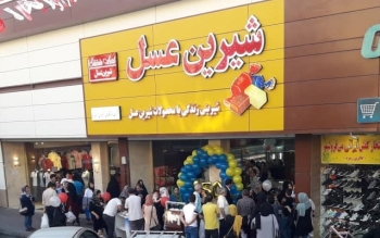 صدور مجوز تولید یک «خودروی روز اروپایی» توسط شیرین عسل!
