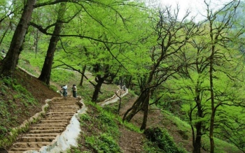 بیش از ۱۱میلیون نفر در ایام نوروز به گیلان سفر کردند