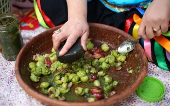 گزارش تصویری دومین جشنواره آلوچه در گوراب زرمیخ صومه سرا 