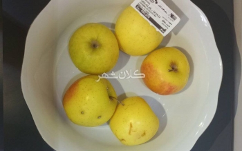 ۵ عدد سیب ۴۹هزار تومان؛چُرت مسئولان پاره نشود