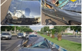 تصادف مرگبارراننده پژوپارس با اسب رها شده در جاده انزلی