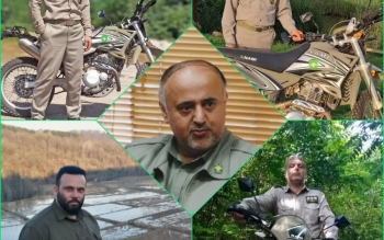 ۴ محیط بان گیلان در جمع محیط بانان نمونه کشوری