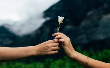 فیلم هایی که فانتزی های خطرناک جنسی می سازد 
