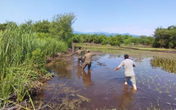 رفع تصرف ۴۰۰۰ متر مربع از پناهگاه حیات وحش لوندویل