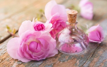 ترمیم التهاب پوست با عصاره گل محمدی و جوی دو سر