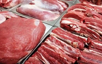 افزایش عرضه گوشت گوساله در میادین/ قیمت ها کاهشی می شود
