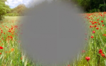 استفاده از نانوتکنولوژی برای رشد سلول های چشم