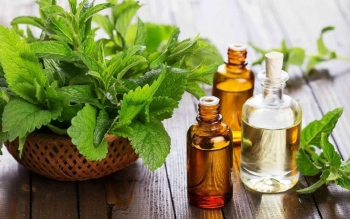 روغنی برای کاهش درد، بهبود خواب و تقویت حافظه