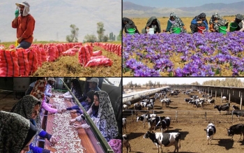  ۵۰۰ میلیون تومان، سقف وام اشتغال روستایی