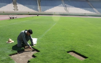 دعوت از ۹ دستگاه برای ترمیم چمن ورزشگاه آزادی