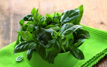  خواص شگفت انگیز ریحان برای سلامتی