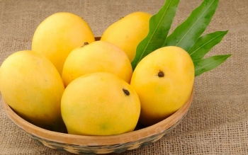 میوه پرخاصیتی که خوردن آن شما را خیلی زود لاغر می‌کند