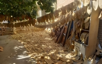 احتکار عجیب ۵ هزار نان در حیاط یک خانه!