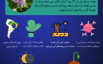 درباره هیولایی که به جان آب های گیلان افتاده چه می دانید؟