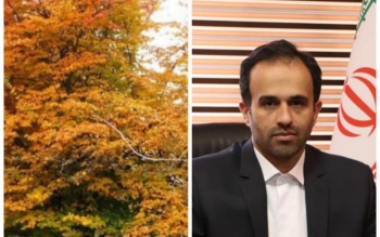 کاشت ۱۸هزار درخت بومی و احداث چند پارک در رشت