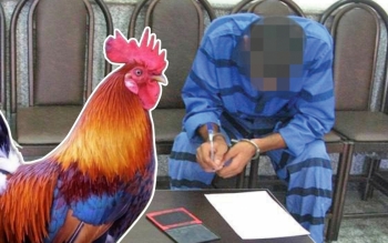 سرقت ماشین با کمک مرغ و خروس!
