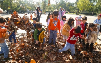 گزارش تصویری اولین جشنواره «پاییز برگ» در باغ محتشم رشت